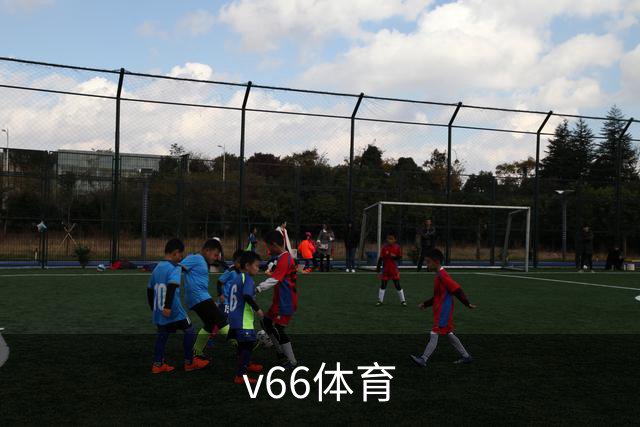 v66体育公司简介